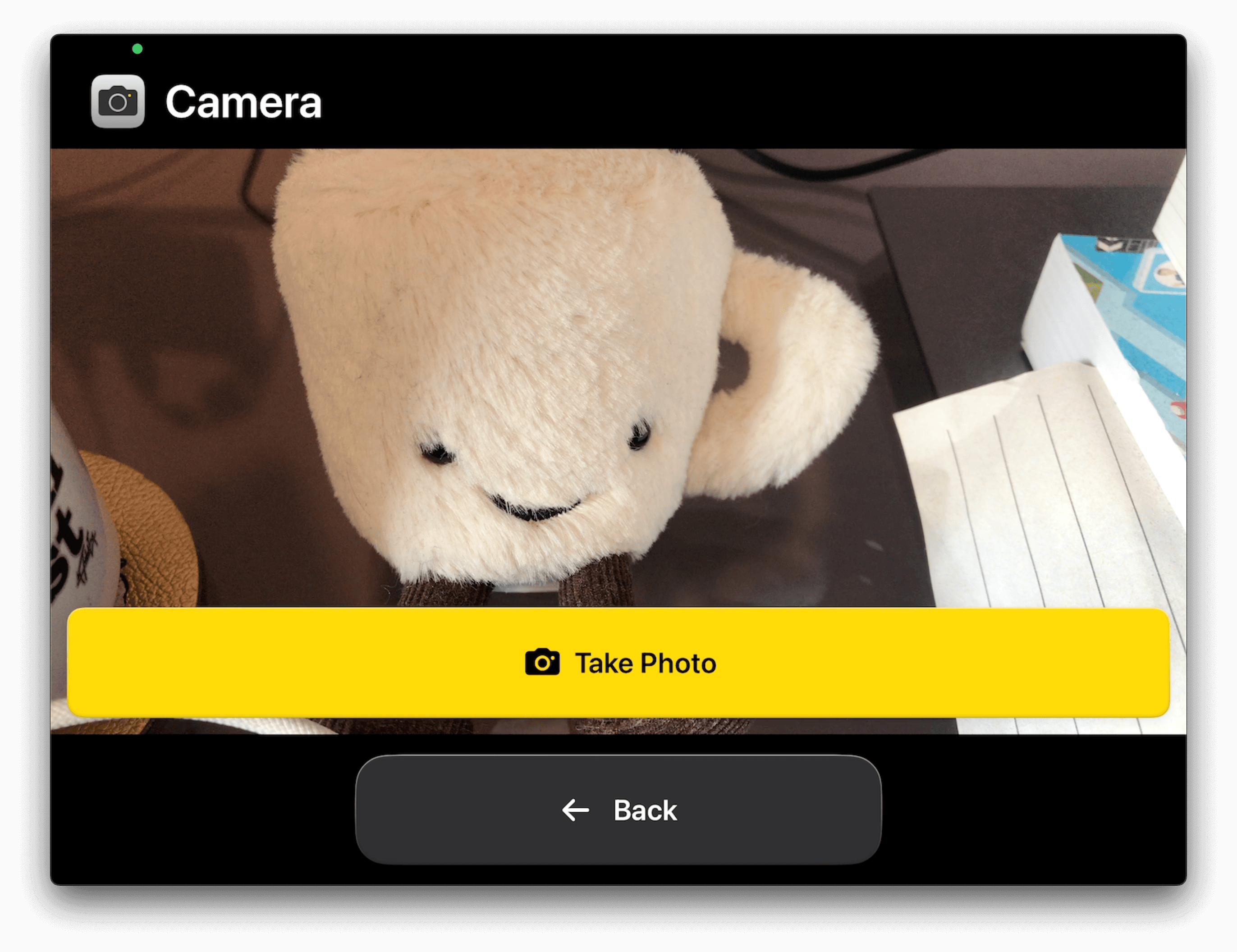 An iPad in landscape mode showing the Camera app. A large view finder has a floating "Take Photo" button at the top in bright yellow.
